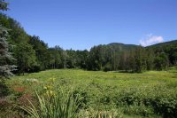 11 Lazy Acres