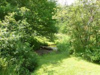 536 East Mountain Trail Creek