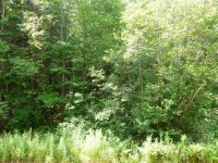 536 East Mountain Trail Creek