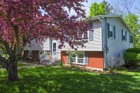 119 Bellevue