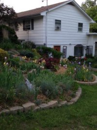 368 Flory