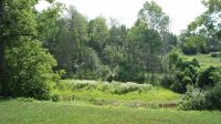 198 North Main Pond Meadow