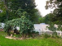368 Killington
