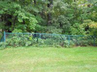 102 Pinecrest
