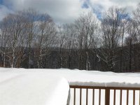 128 Winterberry Winterberry