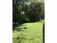 3 Meadow