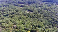 1522 Curtis Hollow