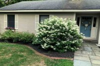 1041 Colonial Colonial Estates