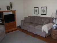 146 Harrington