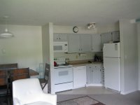 133 E. Mountain Mountain Green