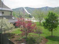 133 E. Mountain Mountain Green