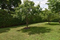 15 Green Knolls