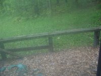 1559 Austin Hill