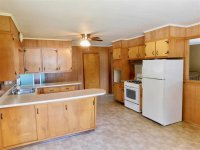 338 Killington