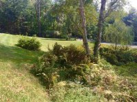 86 Willow Brook
