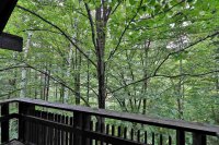 95 Hawk Hawk Mountain Resort
