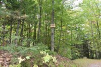 148 Hawk Hollow