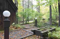 148 Hawk Hollow