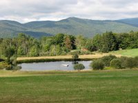 363 Mountain View