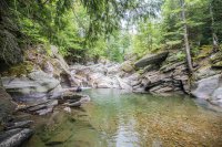 1496 Hale Hollow