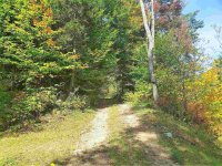 958 Hale Hollow