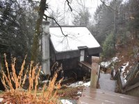 242 Cedarwood