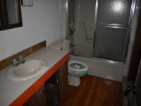 242 Cedarwood