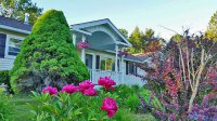 19 Elmwood