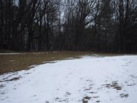 2006 North Grove