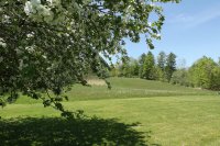 1011 Creek