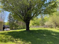 84 Barberry