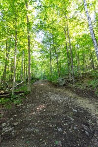 2003 Hale Hollow