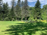3588 Woodstock
