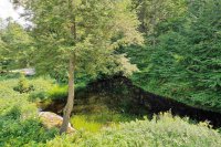 228 Great Roaring Brook