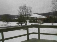 23K Woodstock
