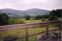 23K Woodstock