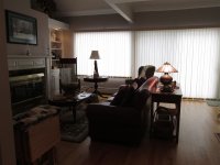 23K Woodstock