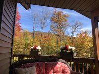 90 Beechwood Farm