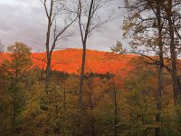 90 Beechwood Farm