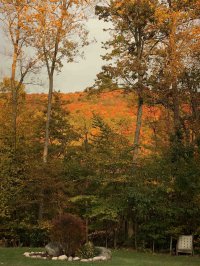 90 Beechwood Farm