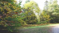 1233 Meadowlake