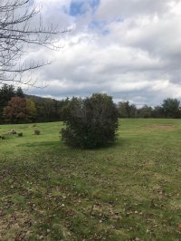 2439 US Route 7 North