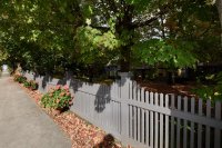 180 Grove