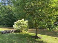 19 Golf Pond