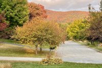 36 Moon Brook