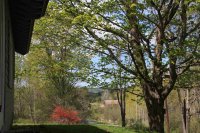1079 Fletcher Hill