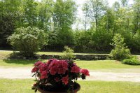 275 chittenden