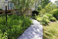 8 Robinwood
