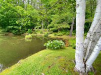 21 Golf Pond