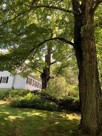 335 West Hill